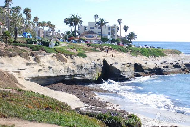 La-Jolla-Beach-7