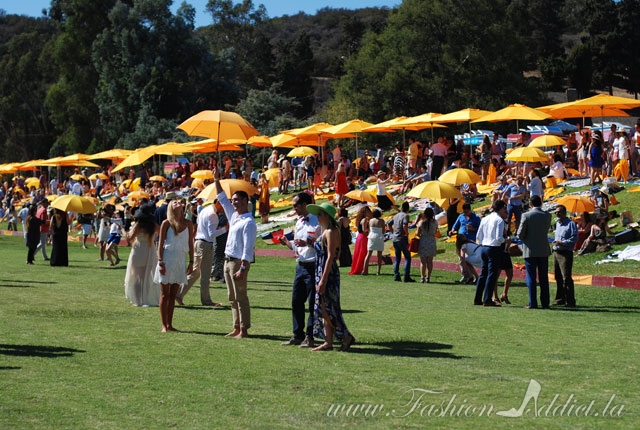 Veuve-Polo-Classic