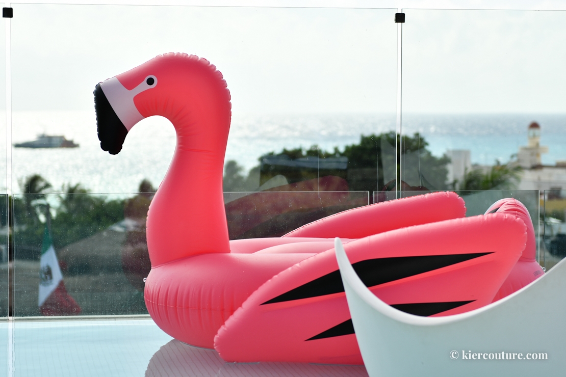 Flamingo floaty
