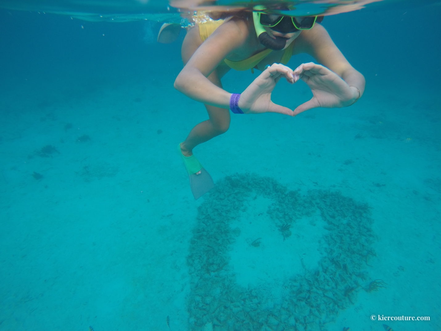 matachica turtle reef snorkling 