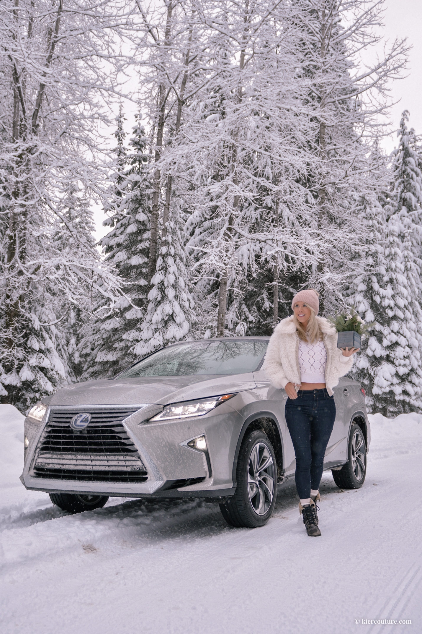 2019 Lexus Hybrid AWD