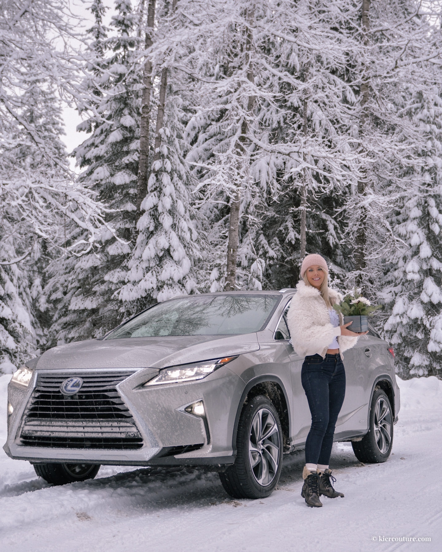 2019 Lexus Hybrid AWD